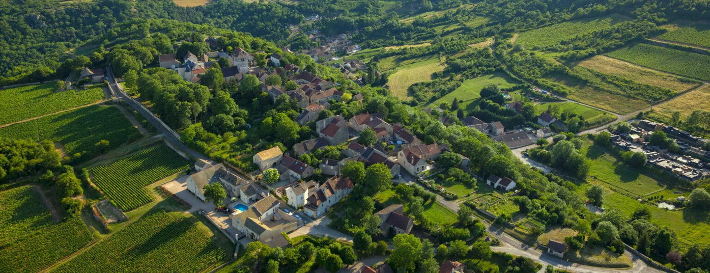OLIVIER LEFLAIVE, Sous Le Chateau, Saint-Romain, 2020