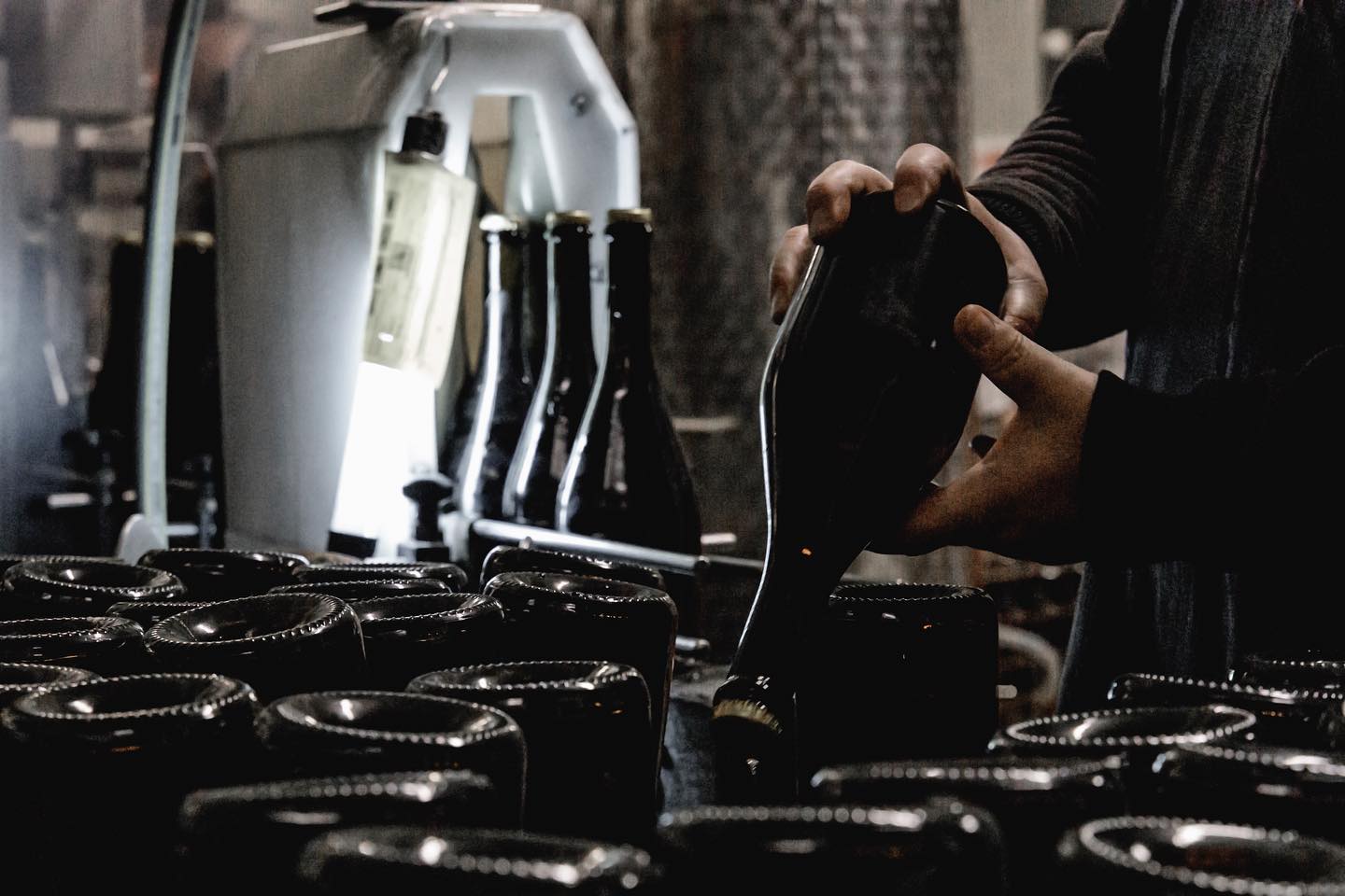 Grand Cellier D'Or, VILMART & CIE, Vintage, France