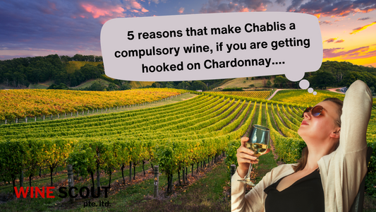 5 Reasons that make Chablis a COMPULSORY wine if you are beginning to love Chardonnay