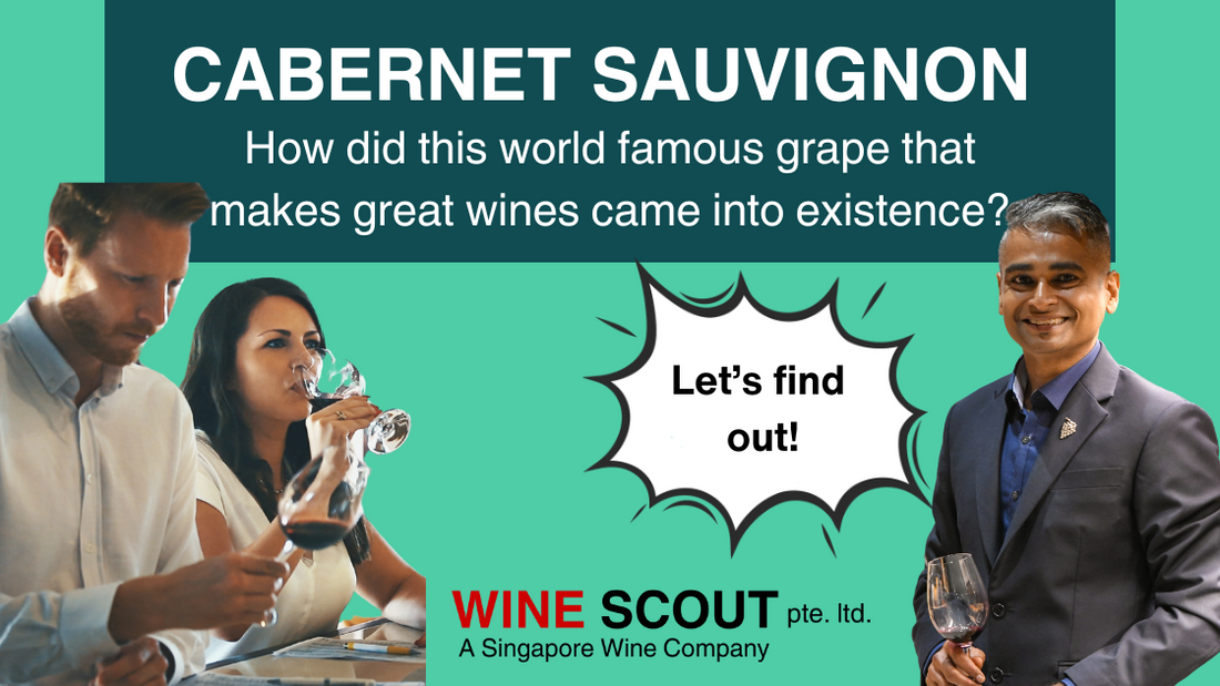 ABOUT CABERNET SAUVIGNON