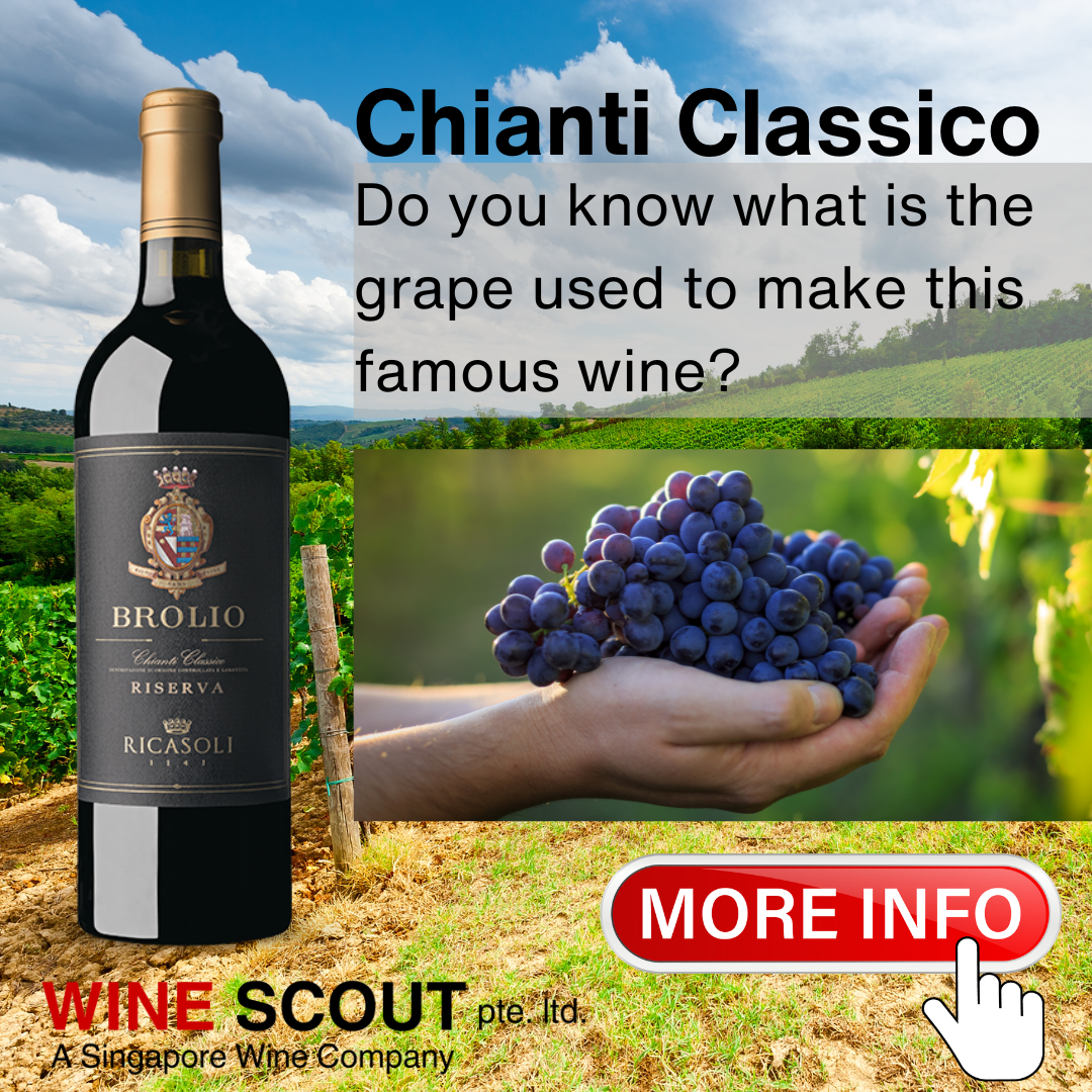 Information on Chianti Classico Wines