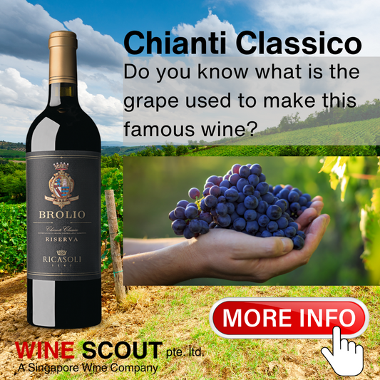 Information on Chianti Classico Wines