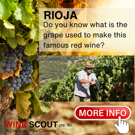 About Rioja Red Wines