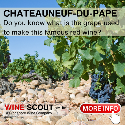 About Chateauneuf-Du-Pape Red Wine