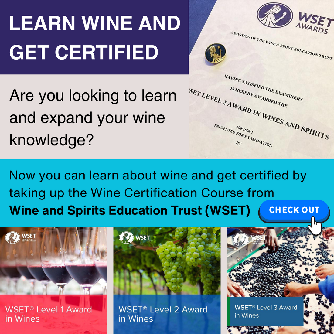 WSET Wine Course in Singapore