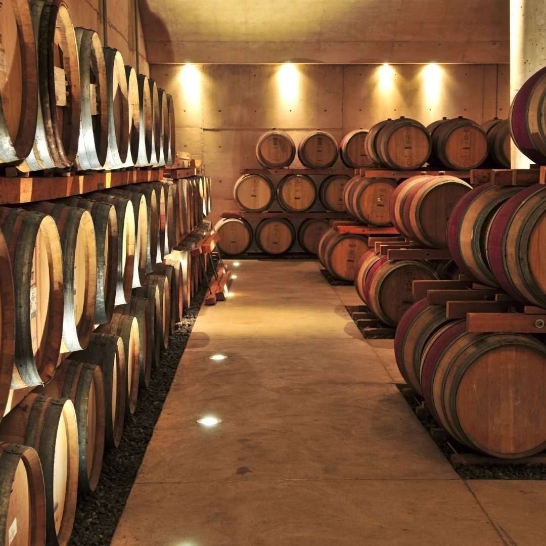 Super Tuscan wines from Italy