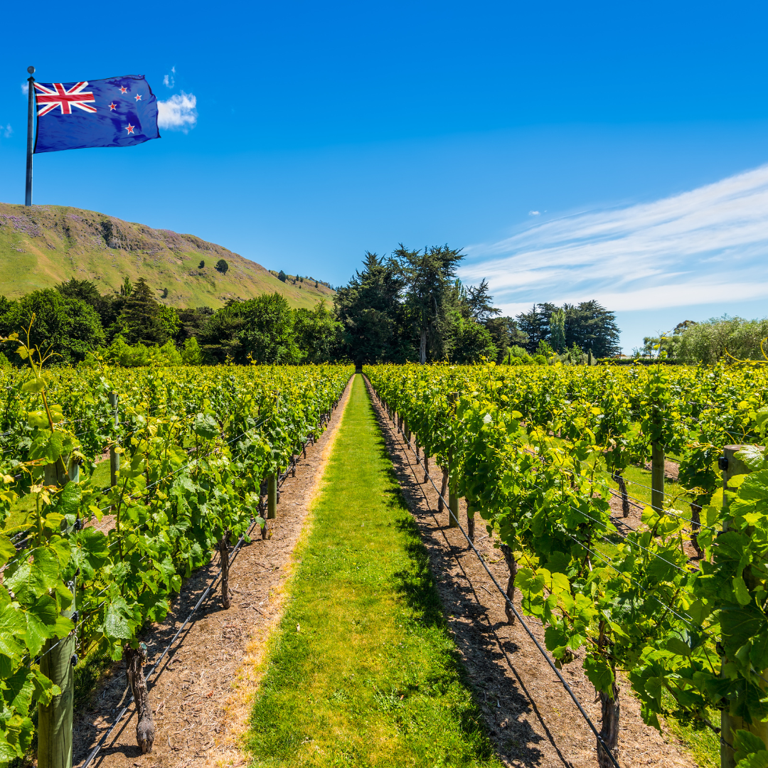 NEW ZEALAND ICONS