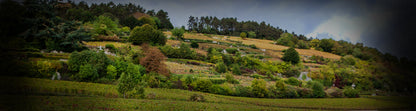 Pouilly-Fuisse Premier Cru "Au Vignerais", DOMAINE AEGERTER, Burgundy, France