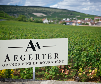 Nuits-Saint-Georges Premier Cru "Les Chaboeufs", DOMAINE AEGERTER, Burgundy, France