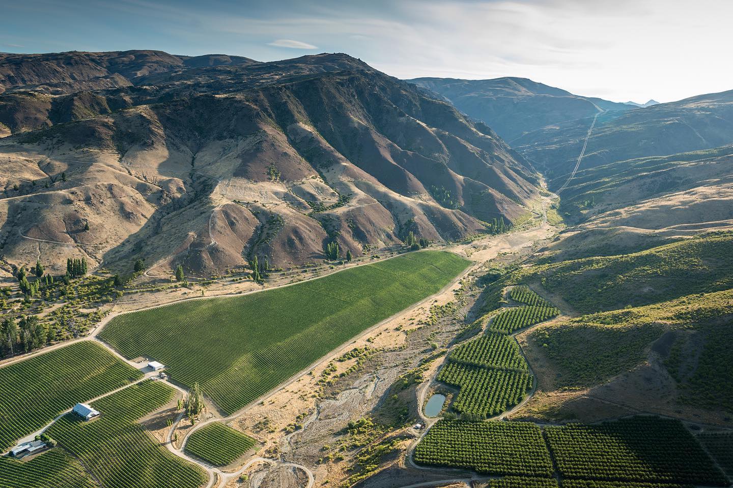 Pinot Noir, AKARUA, Bannockburn, Central Otago, New Zealand