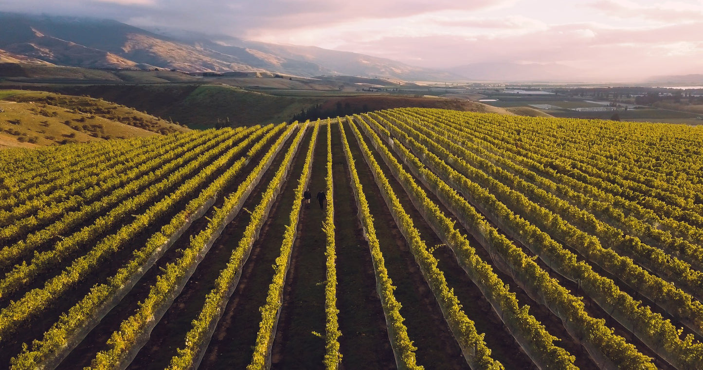 Pinot Noir, AKARUA, Bannockburn, Central Otago, New Zealand