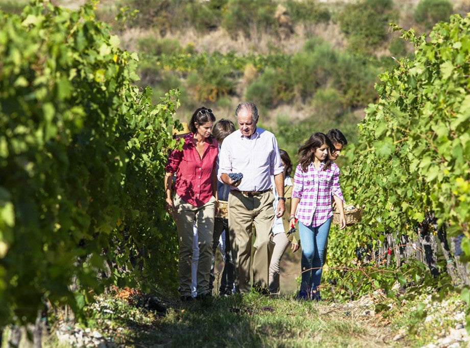 Super Tuscan, ANTINORI TIGNANELLO, Tuscany, Italy