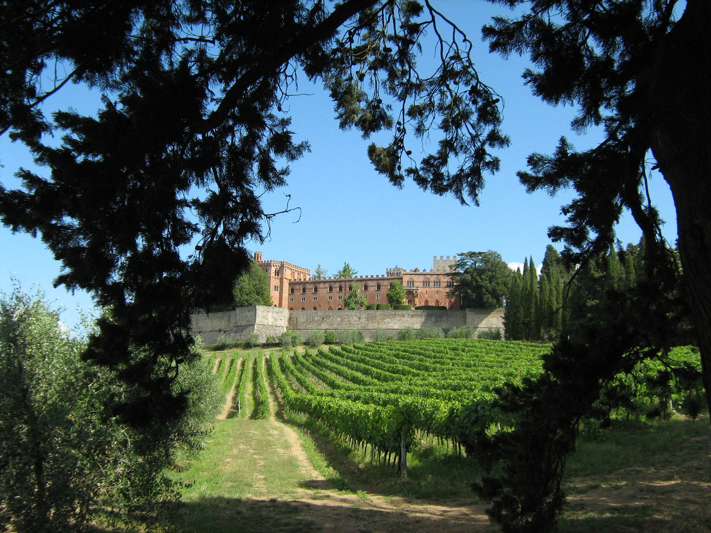 Chianti Classico Riserva, BARONE RICASOLI, "Brolio", Italy