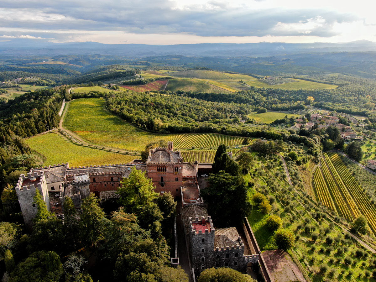 Merlot, "Super Tuscan", BARONE RICASOLI, "Casalferro", Italy