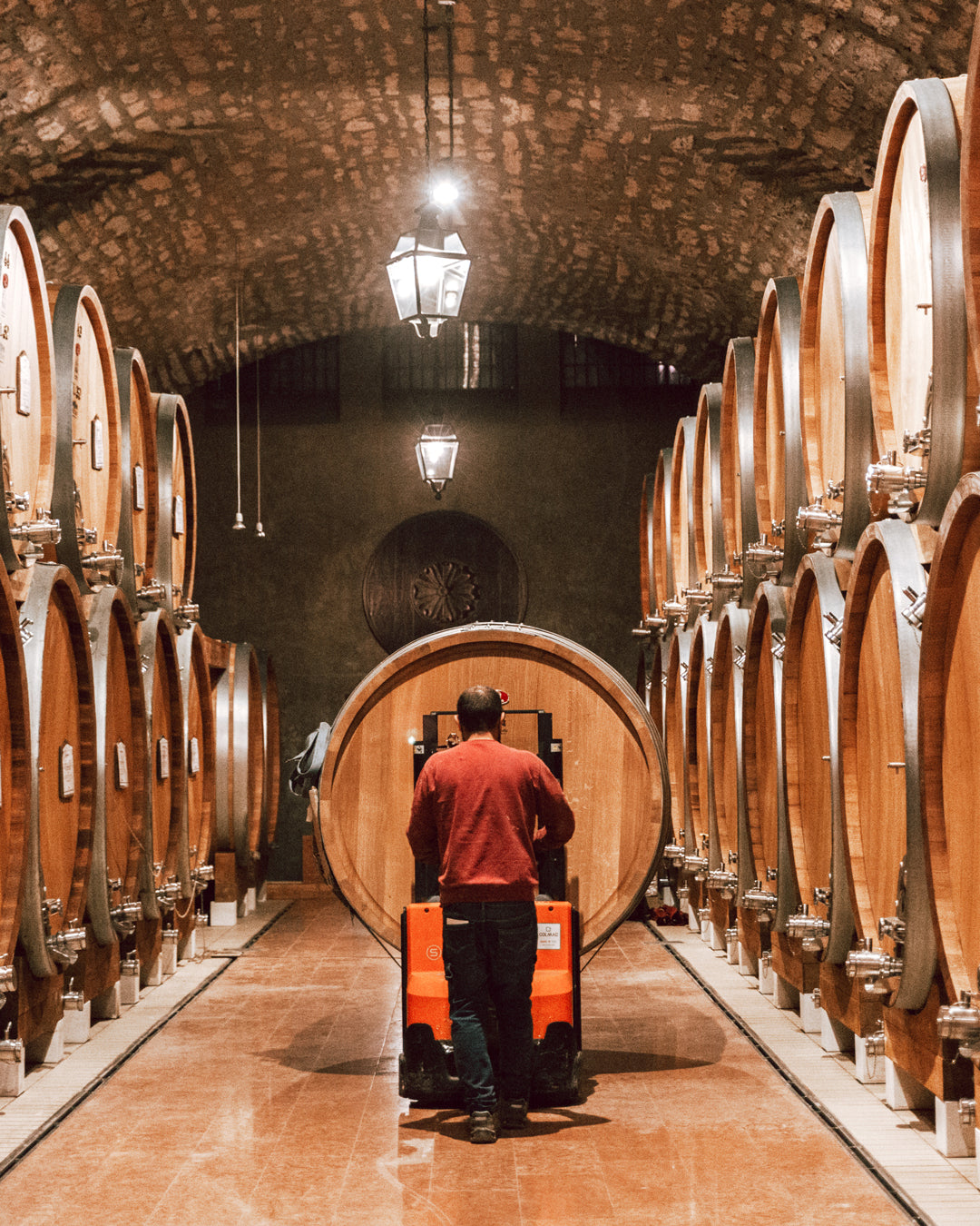 Amarone della Valpolicella, BERTANI, Italy