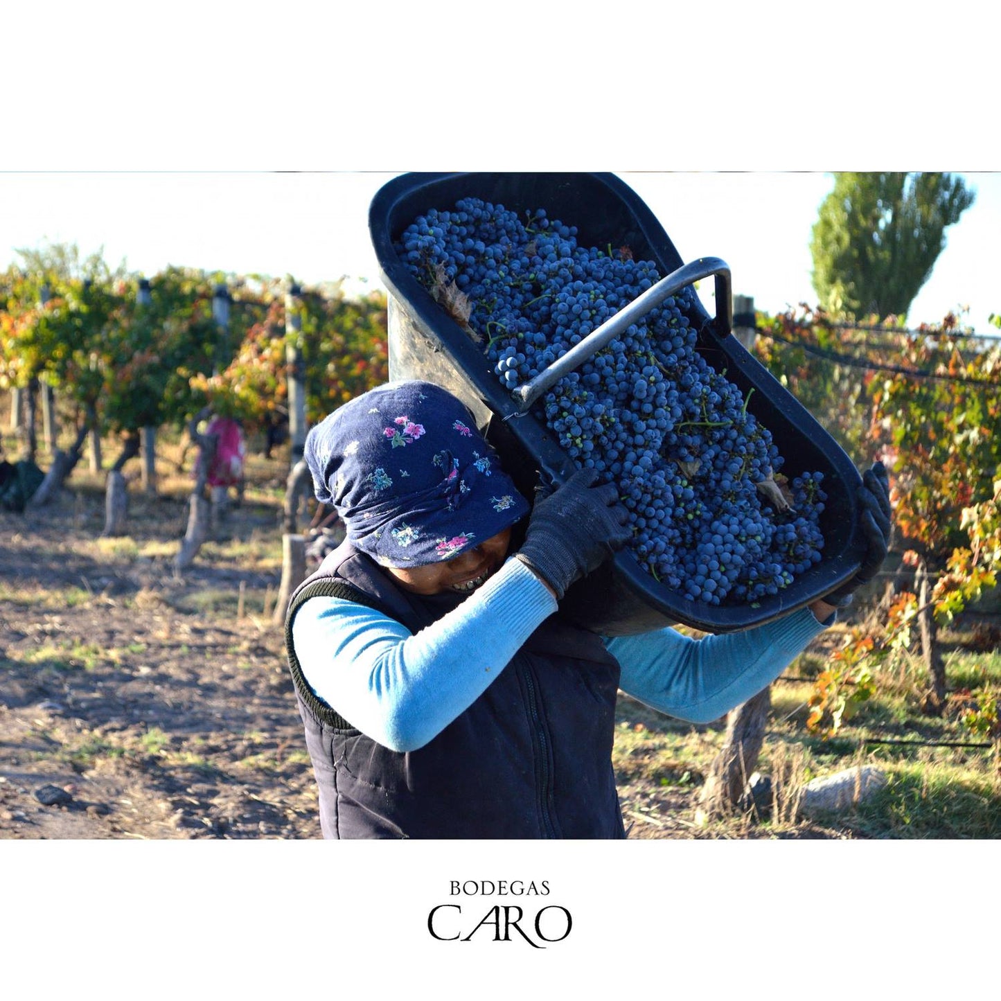 Malbec Blend, CARO, by BODEGAS CARO, Mendoza, Argentina