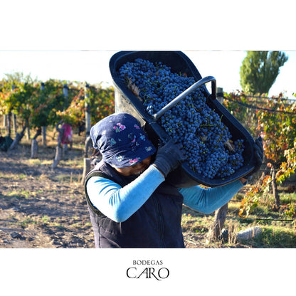 Malbec Blend, CARO, by BODEGAS CARO, Mendoza, Argentina