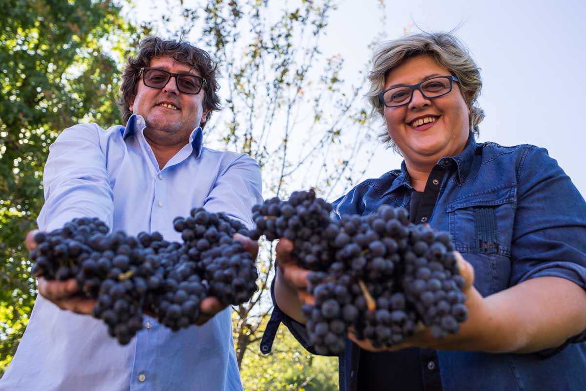 Barbera d'Asti, Montebruna, BRAIDA, Piedmont, Italy