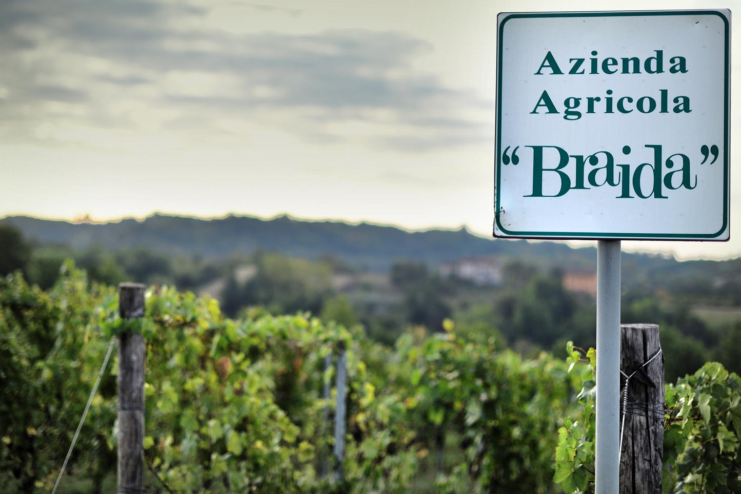 Barbera d'Asti, Montebruna, BRAIDA, Piedmont, Italy