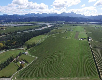 Sauvignon Blanc, BABICH, Marlborough, New Zealand