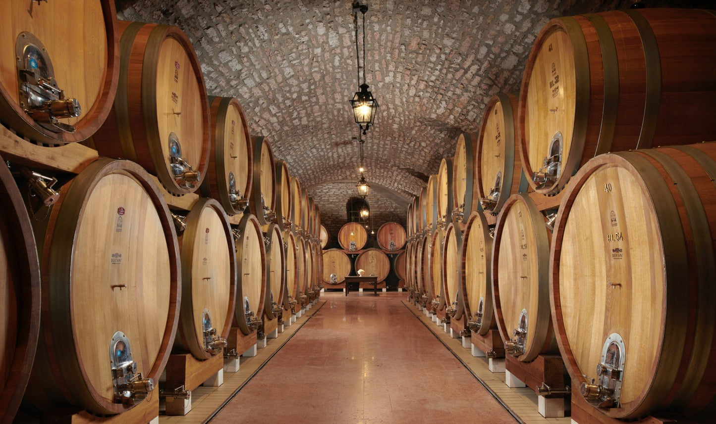 Amarone della Valpolicella, BERTANI, Italy