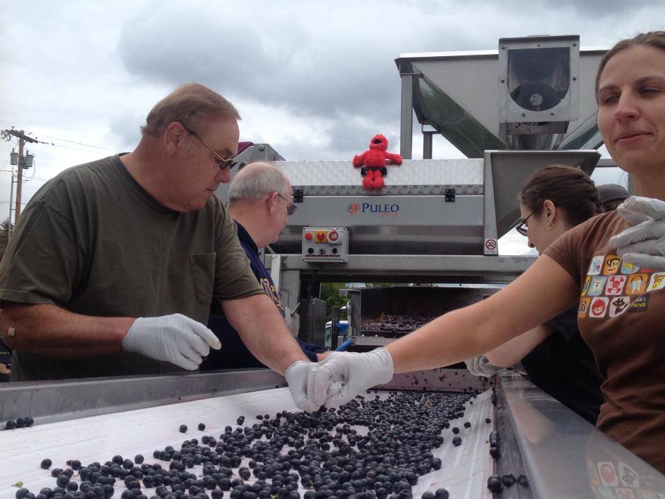 Cabernet Sauvignon, BETZ FAMILY WINERY, "Pere de Famille", Washington, USA