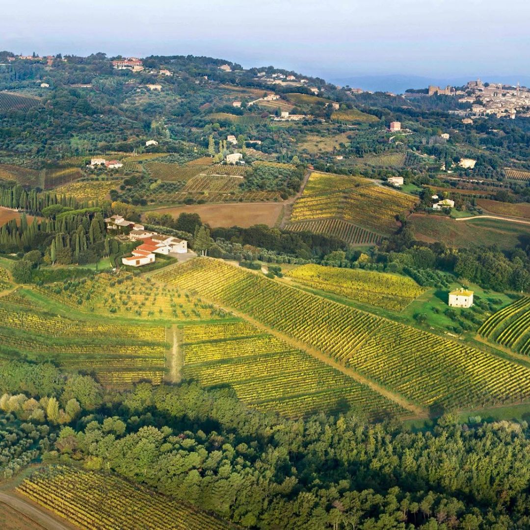 TENUTA BIONDI SANTI, Brunello di Montalcino, 2017