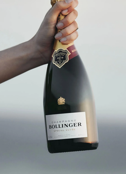 Champagne, BOLLINGER, Special Cuvee, Brut, NV, France