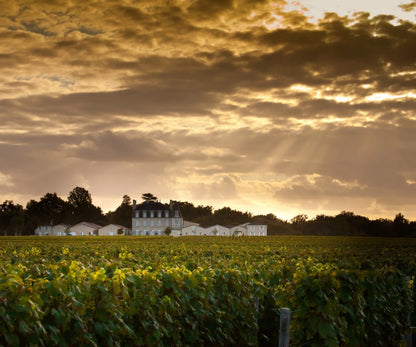 CHATEAU GRAND-PUY-LACOSTE, Pauillac, 2017