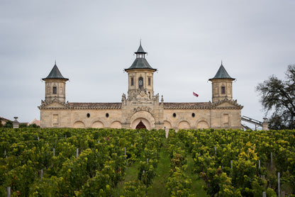 CHATEAU COS D ESTOURNEL, Saint-Estephe, 2008