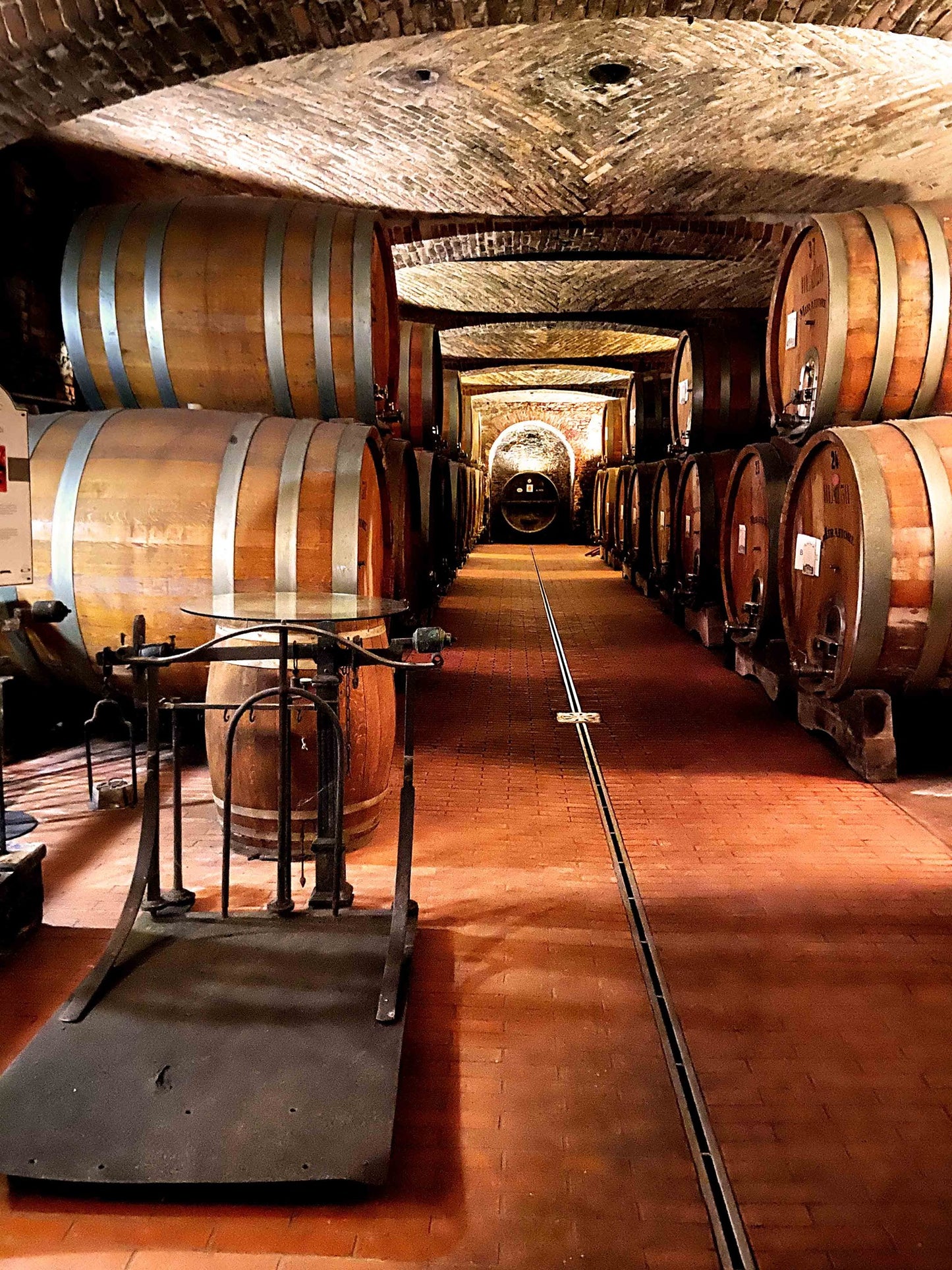 Barbera d'Alba, CASA DI MIRAFIORE, Piedmont, Italy