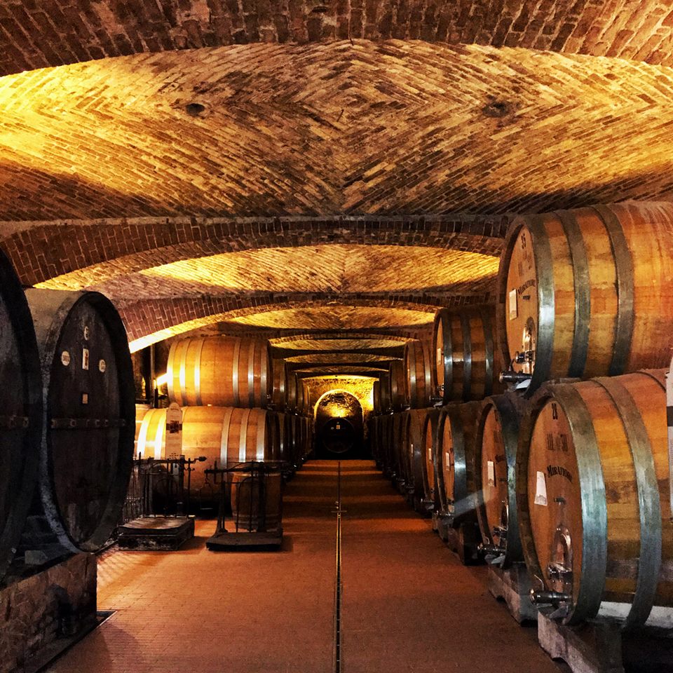 Barbera d'Alba, CASA DI MIRAFIORE, Piedmont, Italy