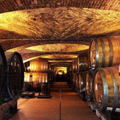 Barbera d'Alba, CASA DI MIRAFIORE, Piedmont, Italy