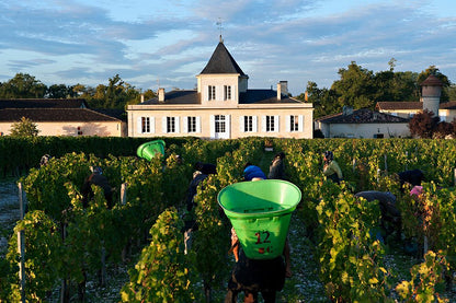 CHATEAU BRANE CANTENAC, Margaux, 2008