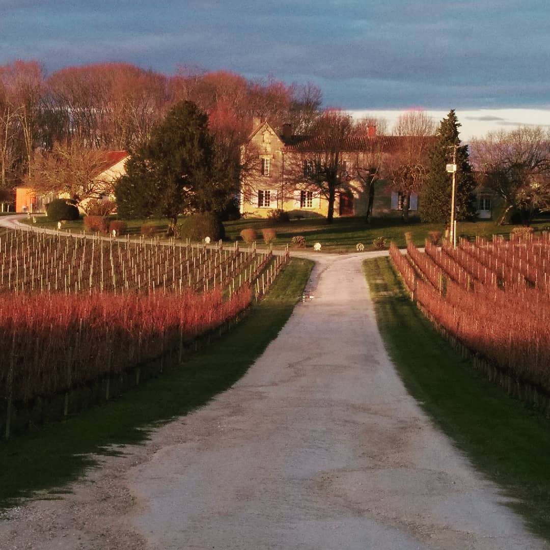 Montagne Saint-Emilion, CHATEAU CORBIN, Bordeaux, France