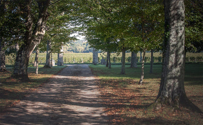 Saint-Emilion, DIVIN DE CORBIN, Bordeaux, France