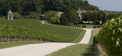 Montagne Saint-Emilion, CHATEAU CORBIN, Bordeaux, France