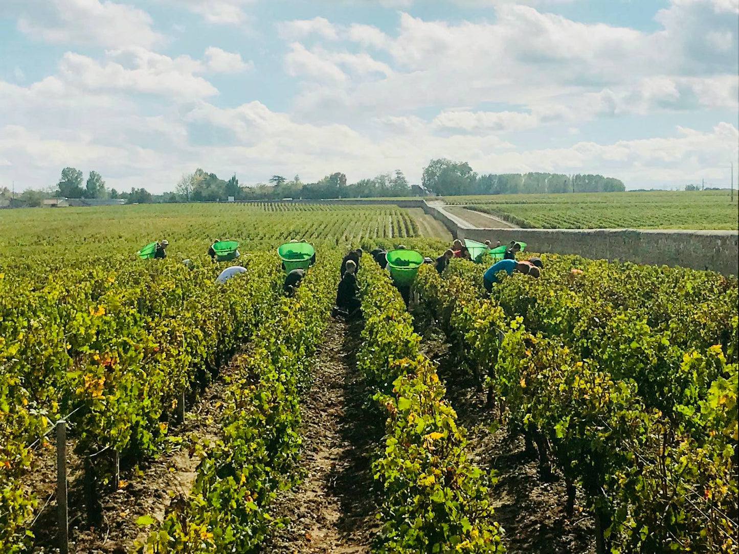 Margaux, CHATEAU D'ISSAN, Bordeaux, France