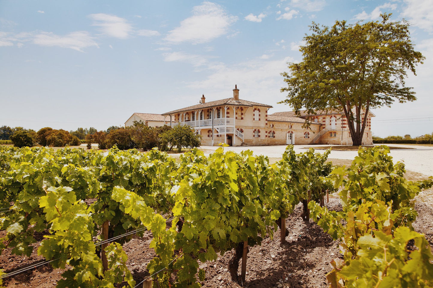 Pauillac, HAUT-BATAILLEY VERSO, Bordeaux, France