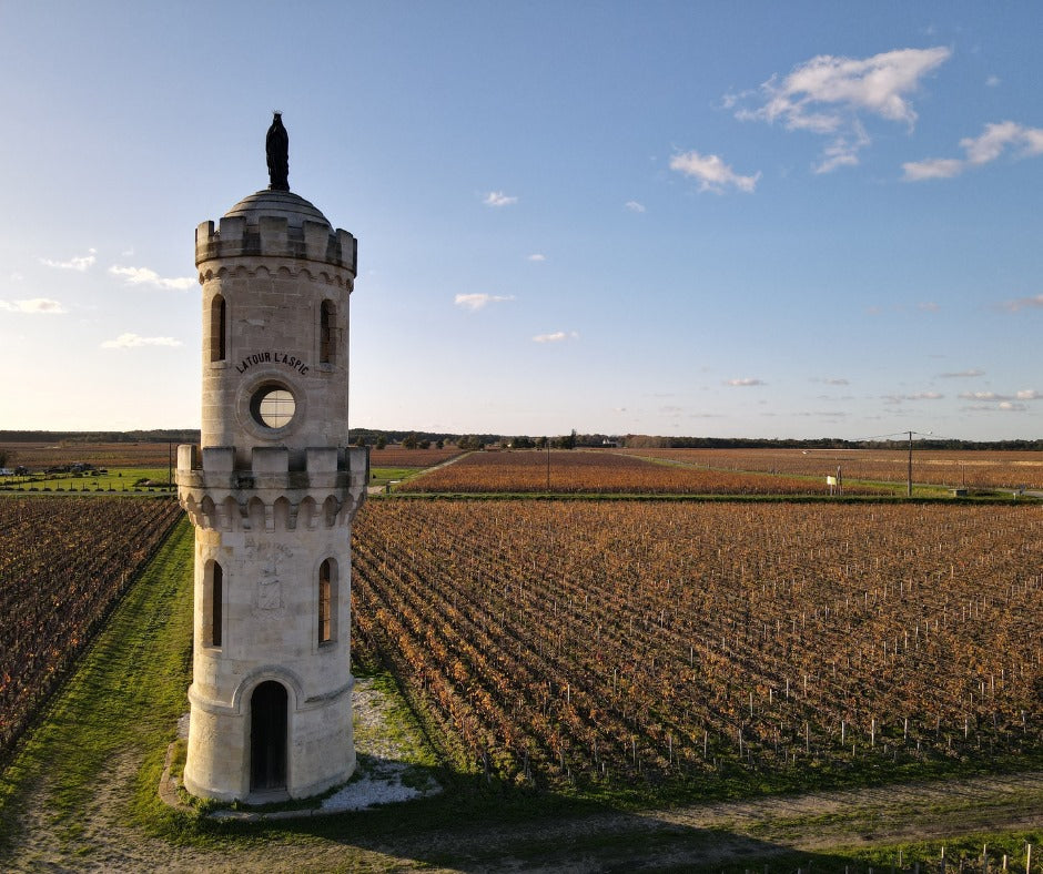 Pauillac, HAUT-BATAILLEY VERSO, Bordeaux, France