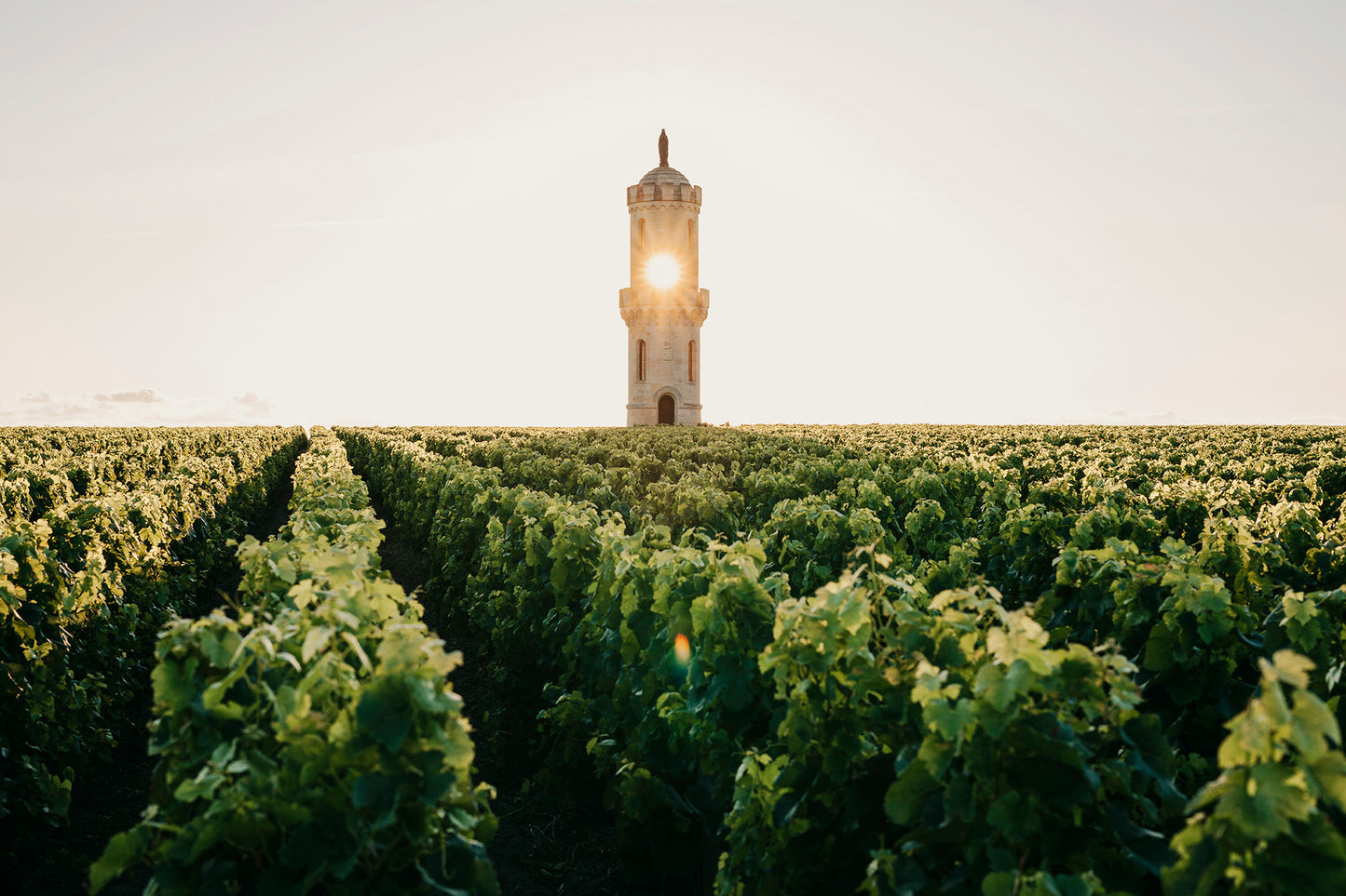 Pauillac, HAUT-BATAILLEY VERSO, Bordeaux, France