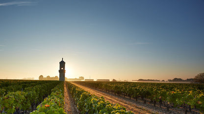 Pauillac, HAUT-BATAILLEY VERSO, Bordeaux, France