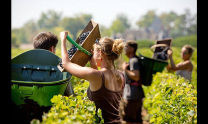 CHATEAU HAUT-BRION, Pessac-Leognan, 2007