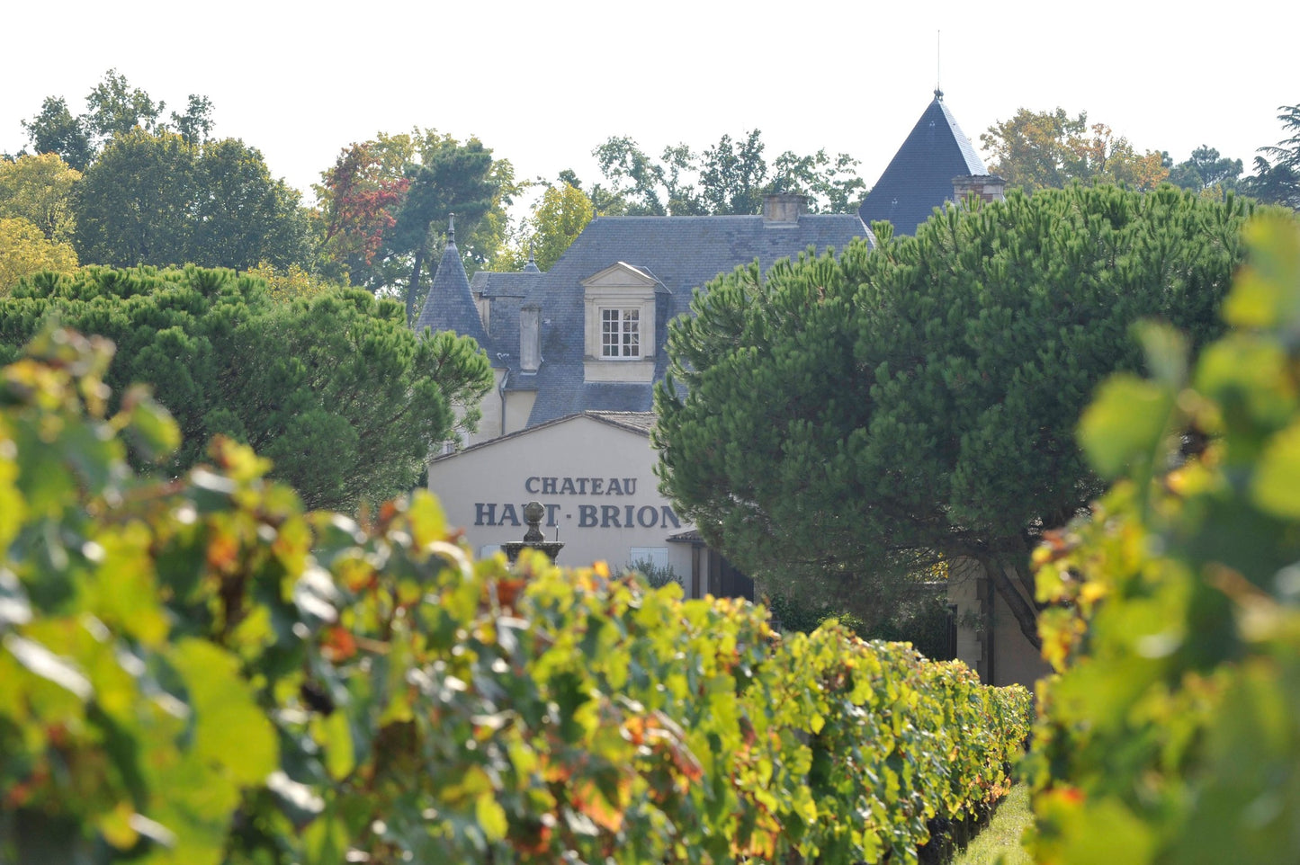 CHATEAU HAUT-BRION, Pessac-Leognan, 2007