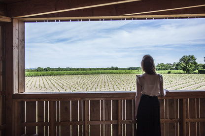 Bordeaux Haut Medoc, Chateau Lamothe-Bergeron, Cru Bourgeois Superieur