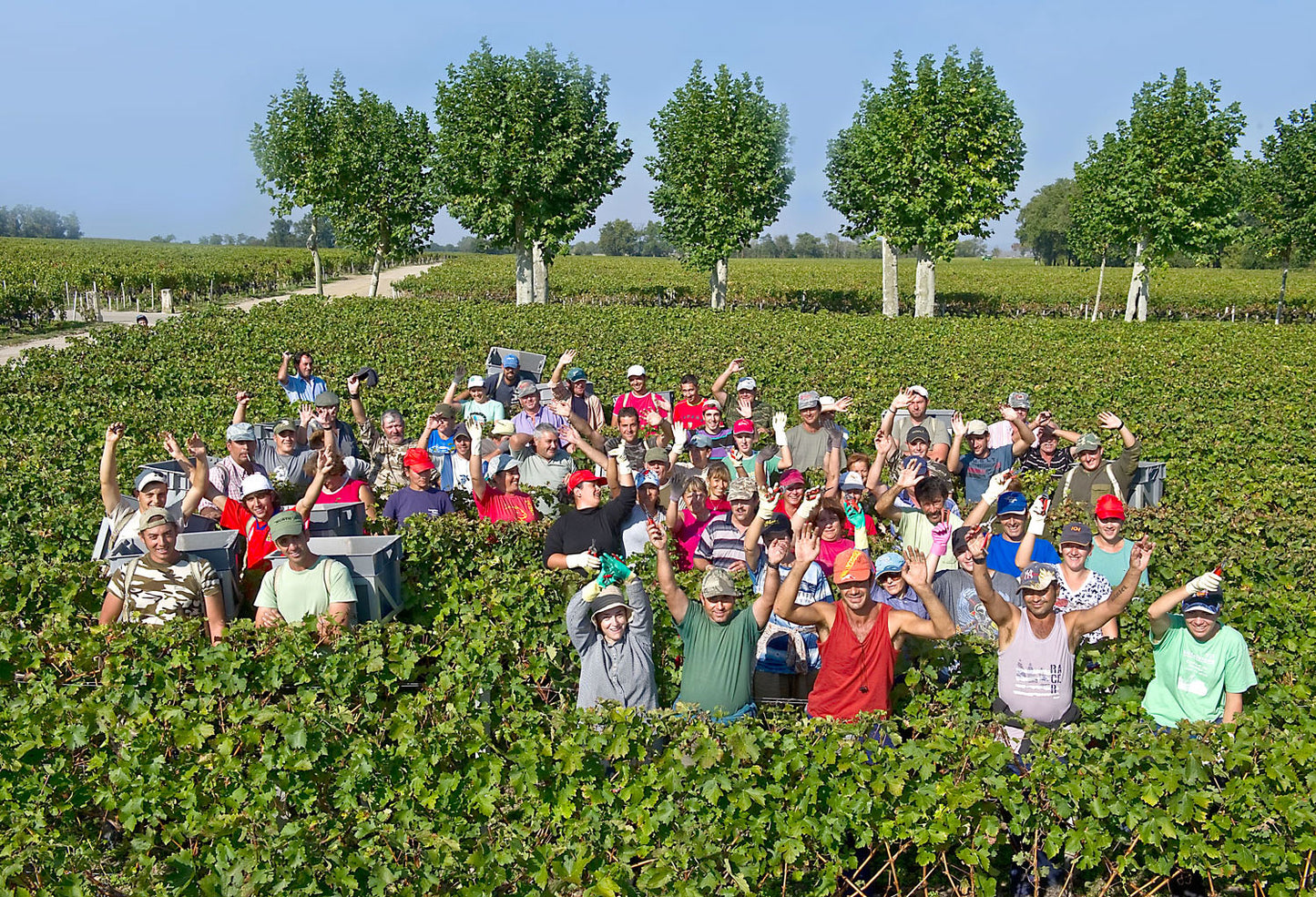 CHATEAU MONTROSE, Saint-Estephe, 2012