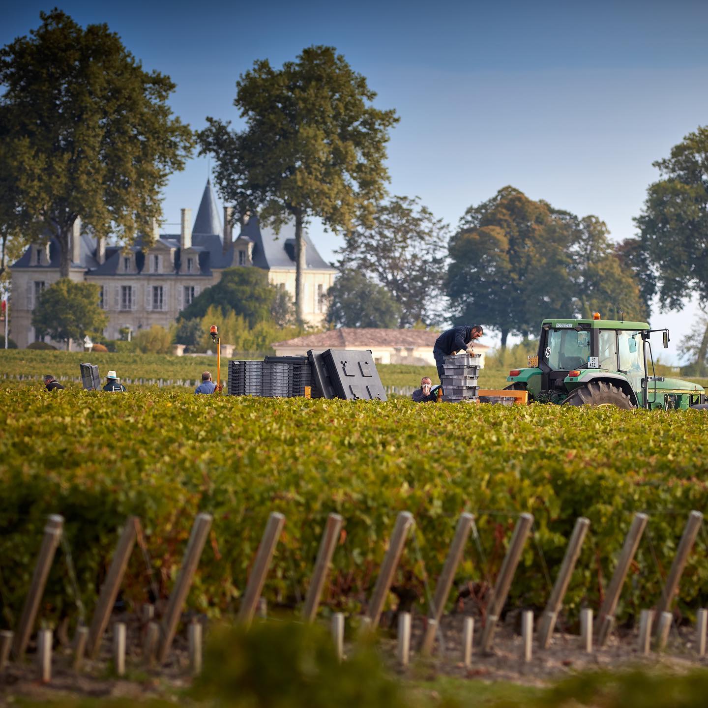 CHATEAU PICHON LALANDE, Pauillac, 2015