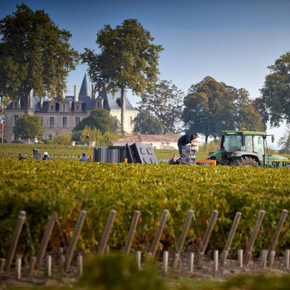 CHATEAU PICHON LALANDE, Pauillac, 2015