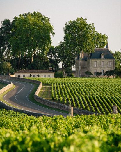 CHATEAU PICHON LALANDE, Pauillac, 2015