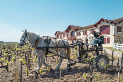 CHATEAU PONTET-CANET, Pauillac, 2017